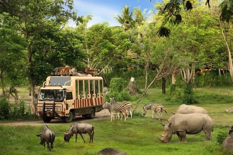 Bali Safari Park Dan Ubud Tour| Bali Jungle Hopper