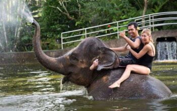 Bali Elephant Ride Dan Uluwatu Tour | Bali Elephant Safari Ride Tour