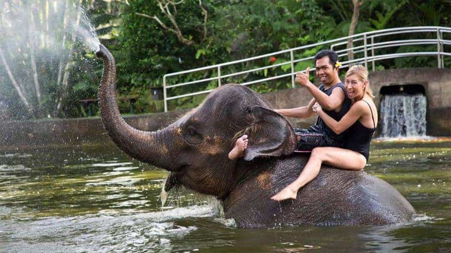 Bali Elephant Safari Tour Bali Elephant Ride Dan Uluwatu Tour | Bali Elephant Safari Ride Tour