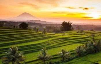 Wisata Jatiluwih | Bali Jatiluwih