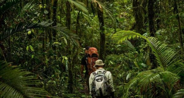 Bali Jungle Trekking Tour
