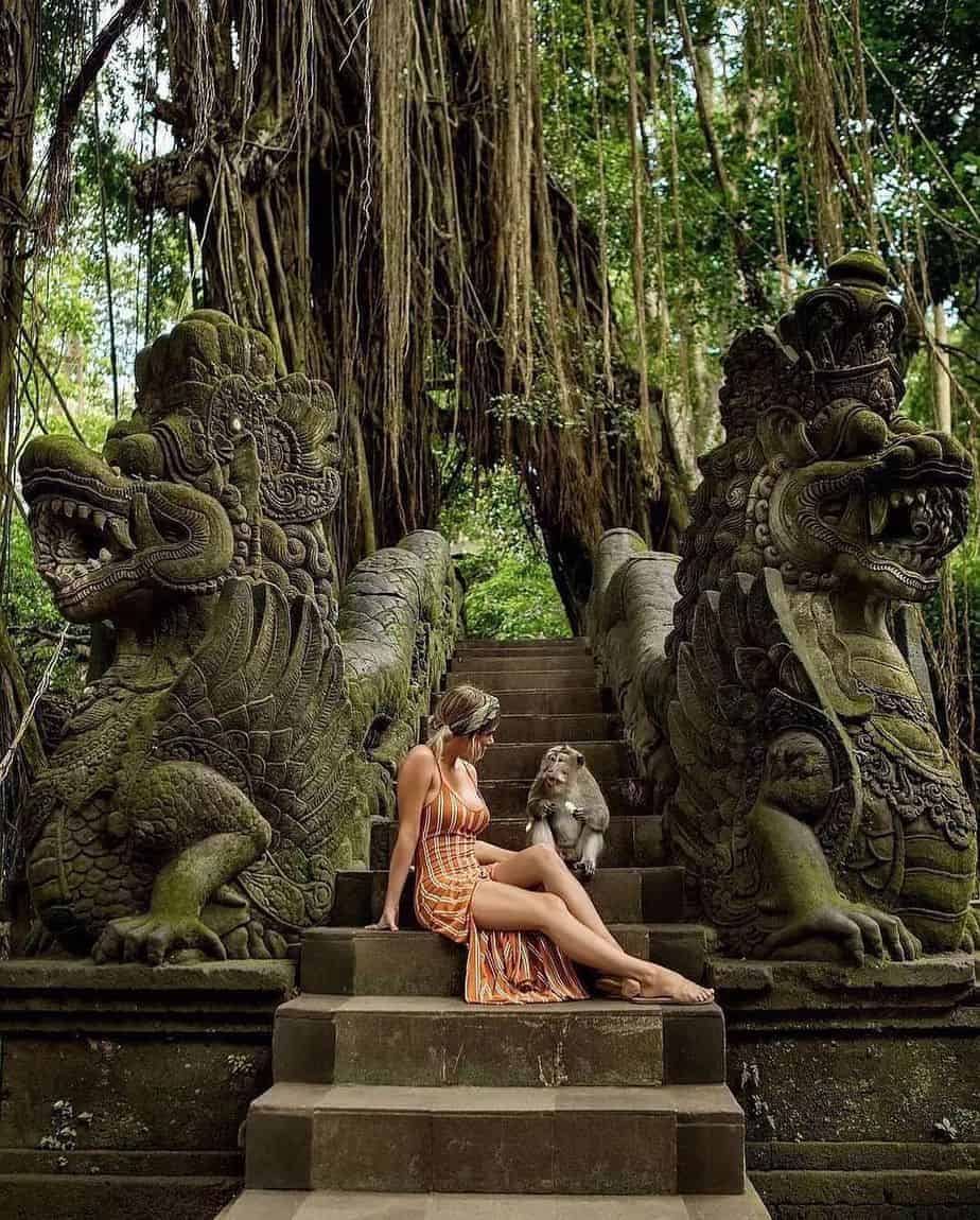 Ubud Tanah Lot Tour | Wisata Ubud - Monkey Forest