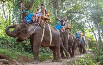 Bali Zoo Elephant Ride Tour