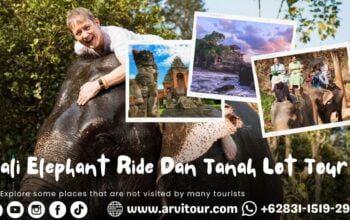 Bali Elephant Ride Dan Tanah Lot Tour