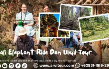 Bali Elephant Ride Dan Ubud Tour