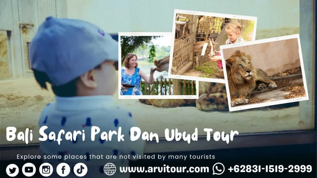 Bali Safari Park Dan Ubud Tour