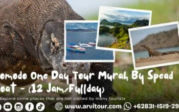 Komodo One Day Tour Murah By Spead Boat 12 Jam