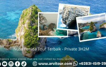 Nusa Penida Tour Terbaik - Private 3H2M
