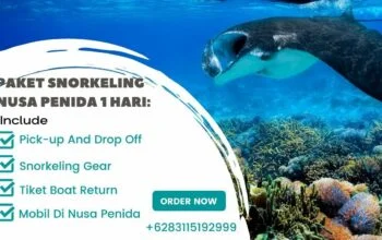 Paket Snorkeling Nusa Penida 1 hari_ Mengagumkan dan Memukau