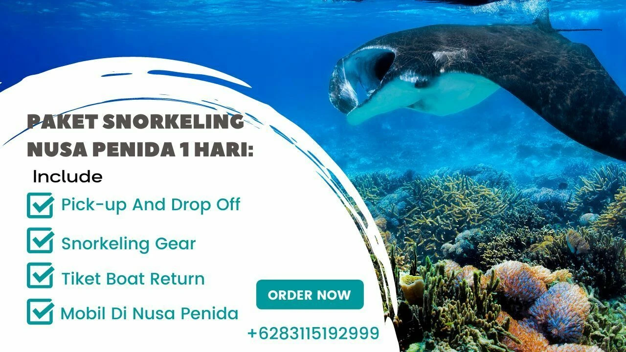Paket Snorkeling Nusa Penida 1 Hari: Mengagumkan Dan Memukau! Paket Snorkeling Nusa Penida 1 Hari_ Mengagumkan Dan Memukau