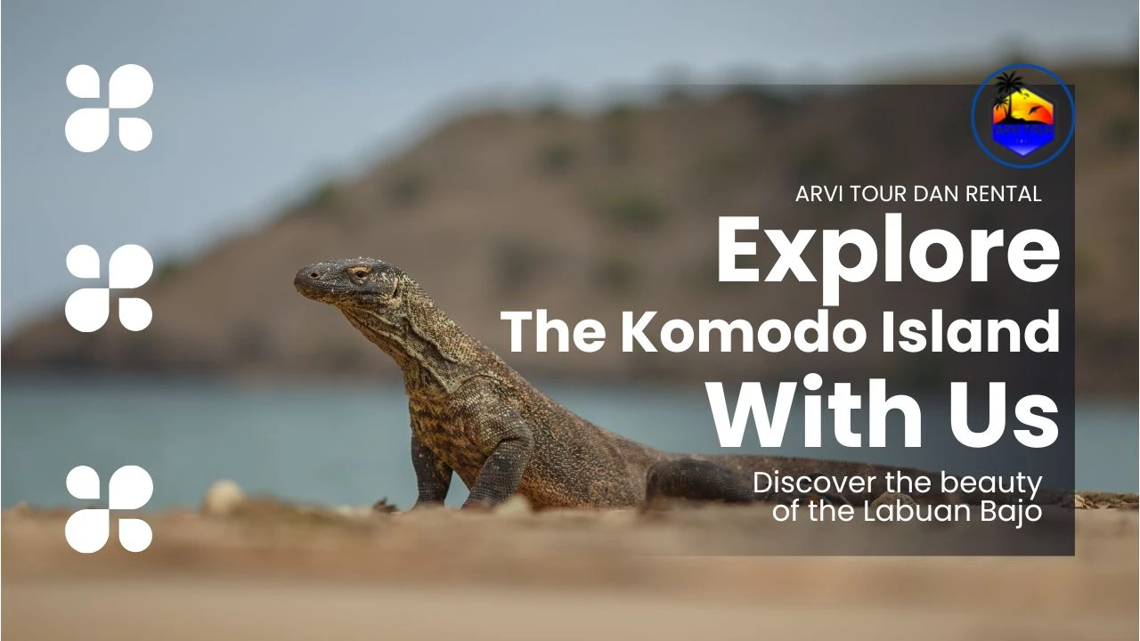 Paket Wisata Komodo Tour Terbaik Paket Wisata Labuan Bajo