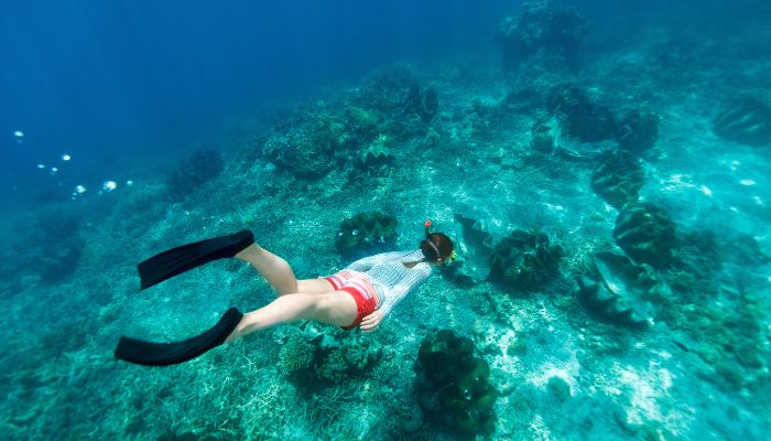 Snorkeling Di Manta Bay Nusa Penida